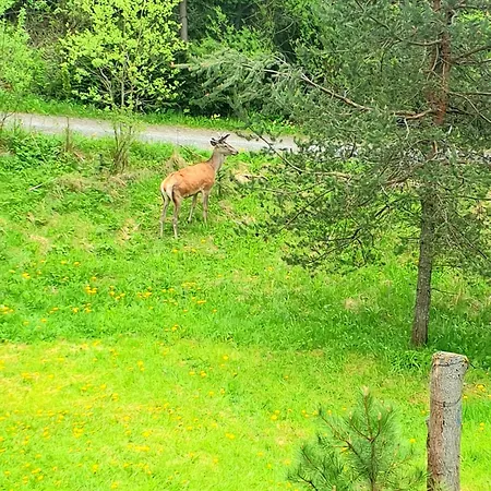 Semesterbostad Strbianka *