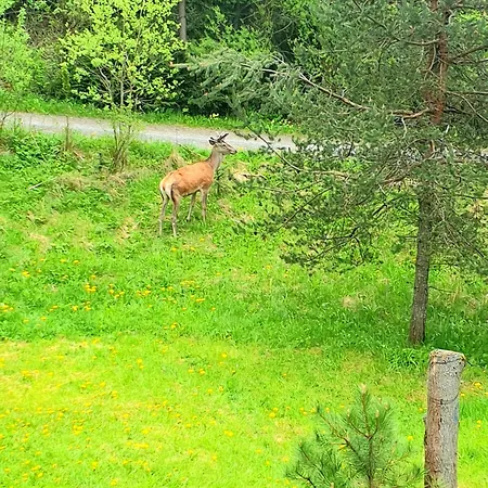 Holiday home Strbianka *